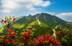 黄龙山景区