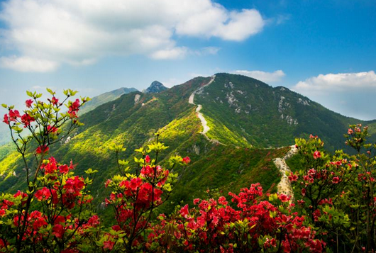 黄龙山景区