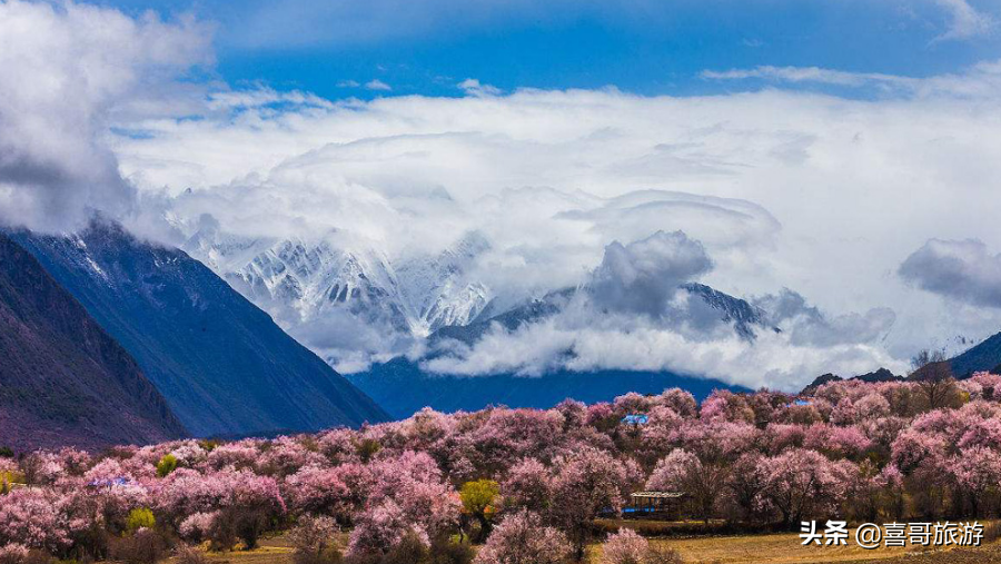 林芝旅游攻略必去的景点，这十个一定不要错过！