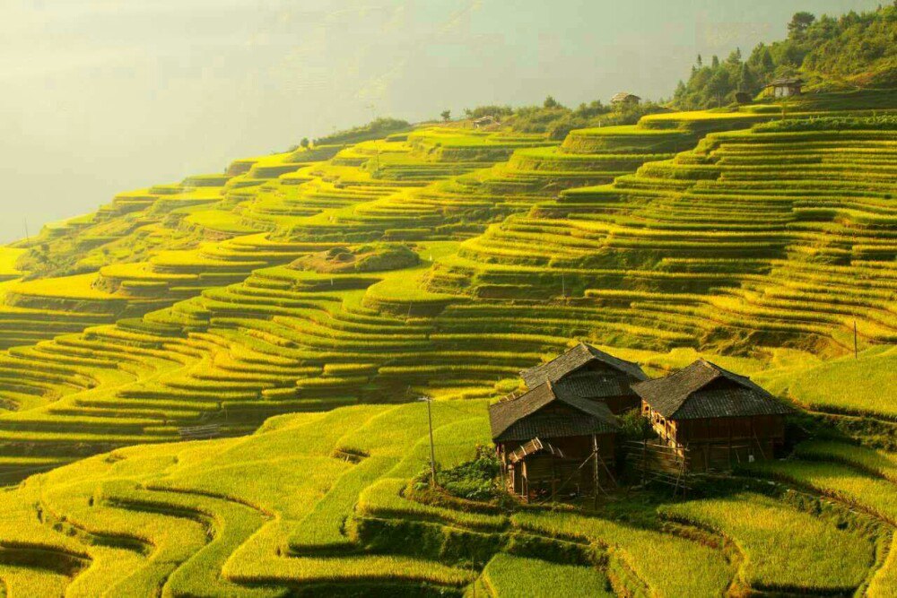 贵州旅游十大景点排名，必去的网红景点（附最佳季节/时间）