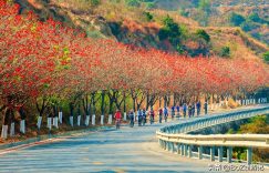 攀枝花旅游必去景点（攀枝花旅游景点大全排名）