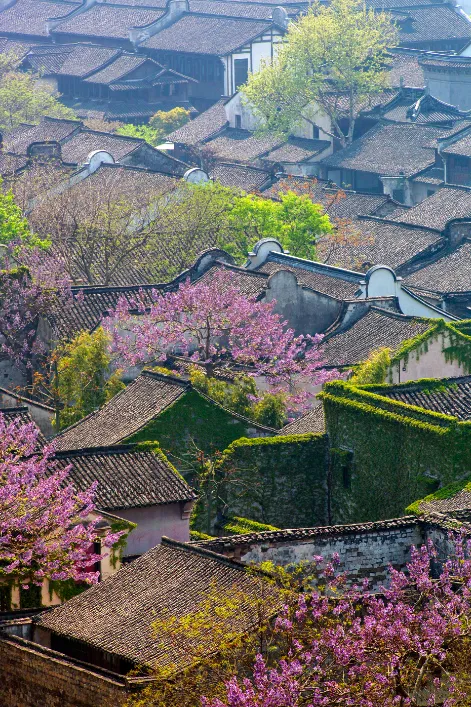 自由行必看！最详细的乌镇旅游攻略及行程路线