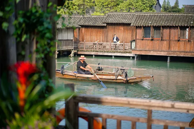 自由行必看！最详细的乌镇旅游攻略及行程路线