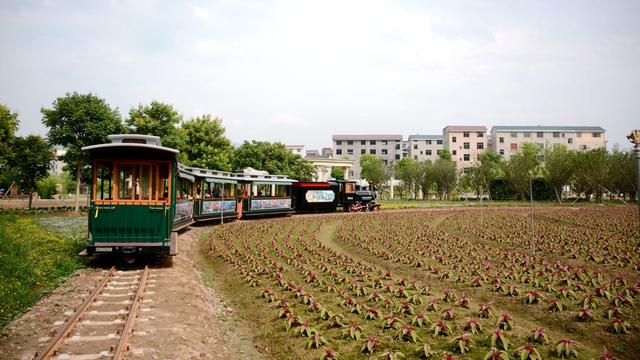 义乌旅游景点大全（义乌一日游必去的景点）