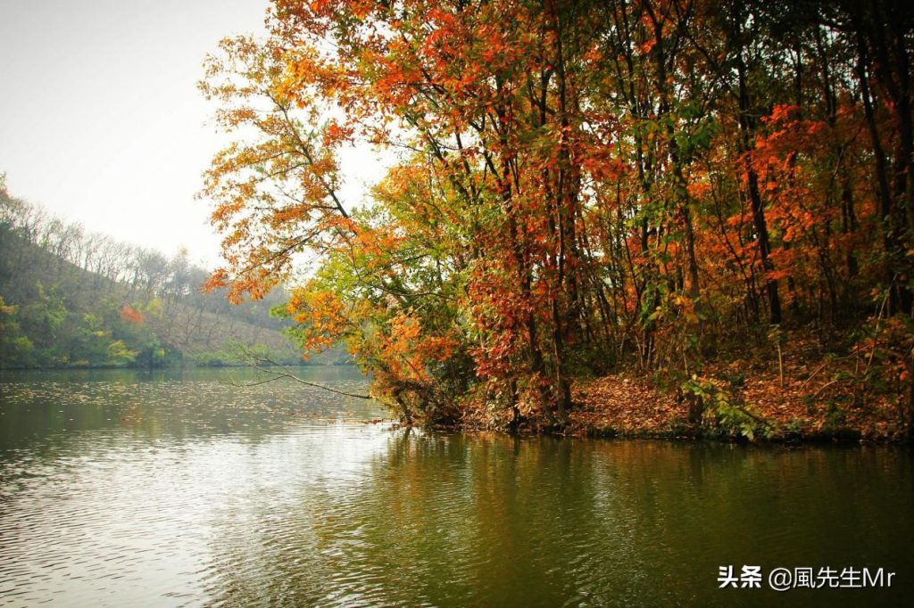 灵龙湖生态文化旅游区