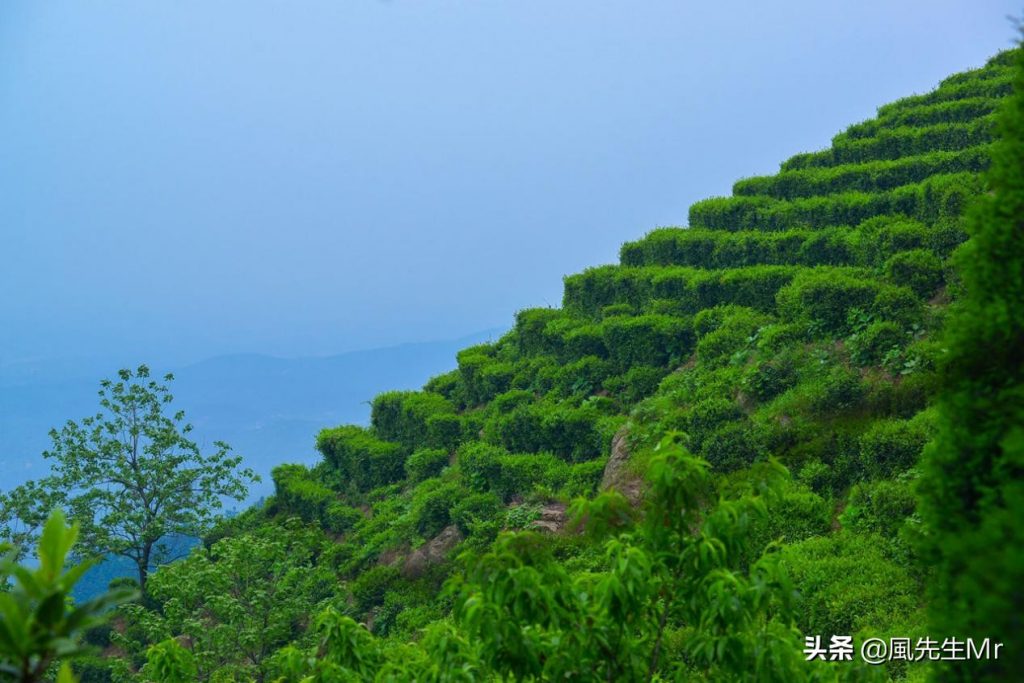 西九华山