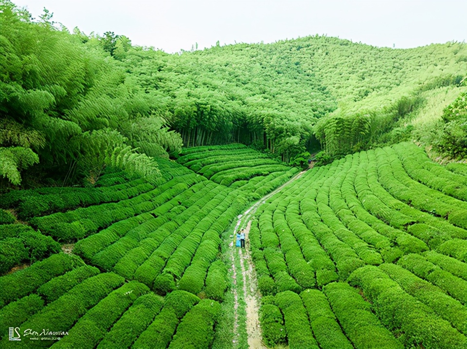 湖州旅游景点攻略（湖州旅游必去十大景点）