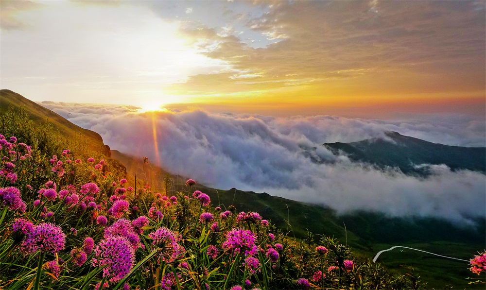 贵州旅游十大景点排名，必去的网红景点（附最佳季节/时间）