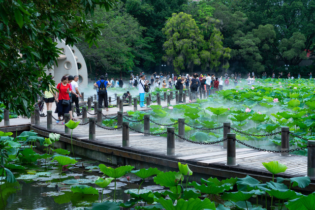 深圳的旅游景点有哪些地方？这几个最好玩还不用门票！