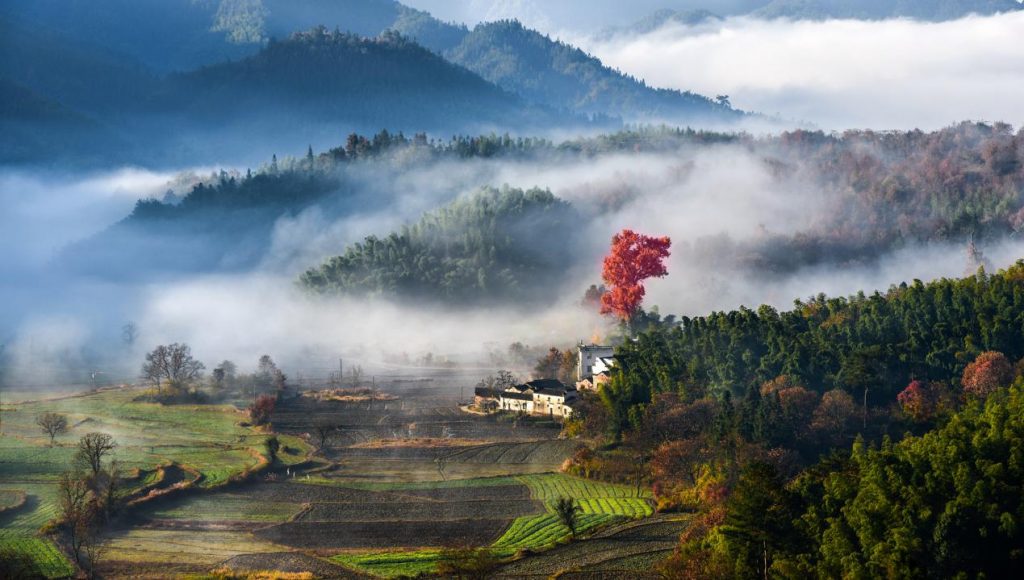 黄山市旅游景点大全介绍（黄山旅游必去十大景点）