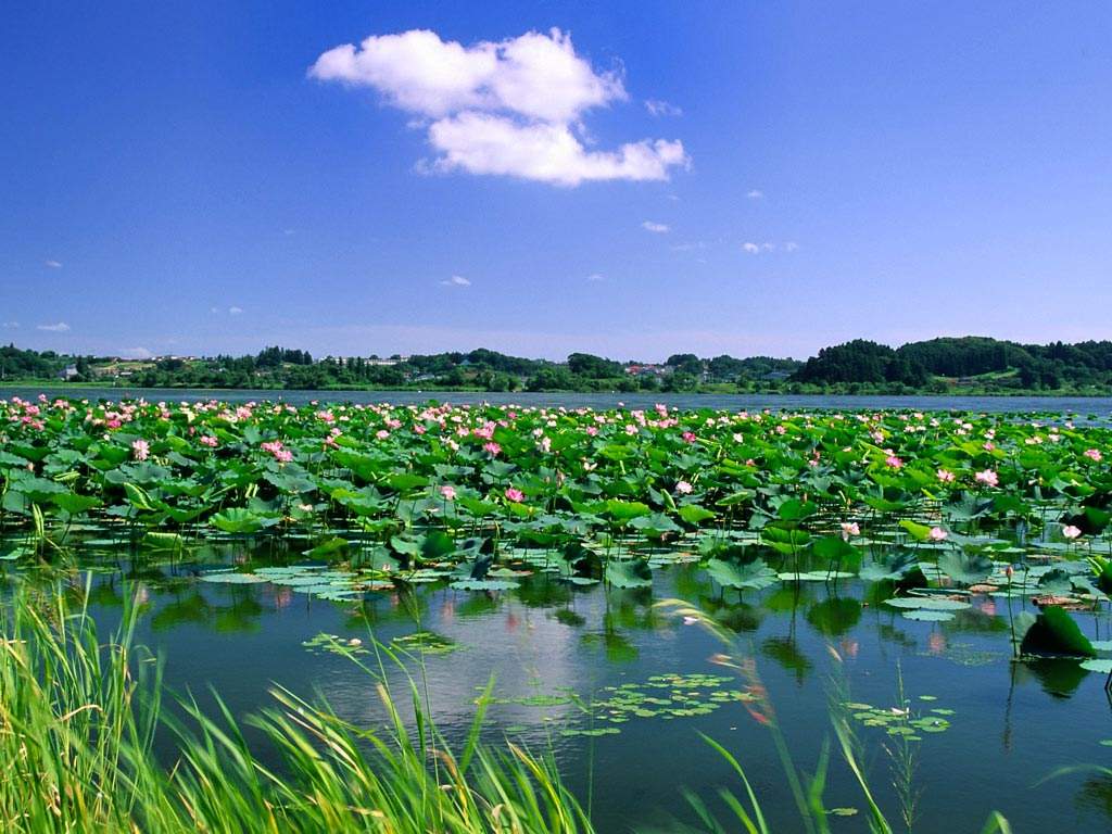 淮南旅游景点有哪些？安徽淮南旅游必去十大景点！