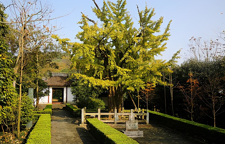 莆田旅游必去十大景点（福建莆田旅游景点推荐）