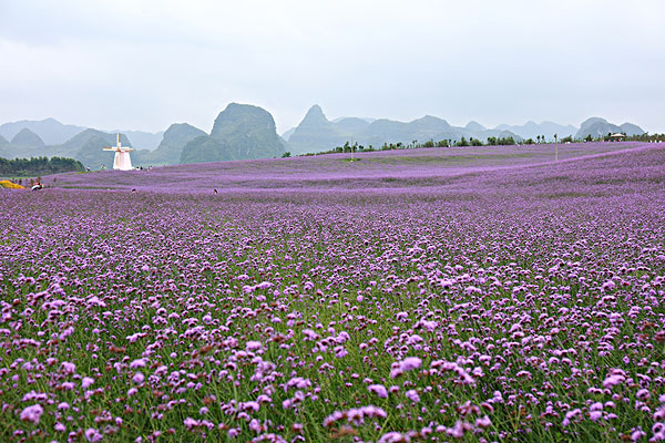 广西来宾市旅游景点介绍（来宾一日游必去景点）