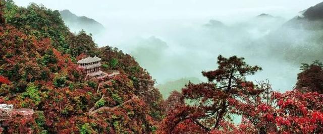 广西来宾市旅游景点介绍（来宾一日游必去景点）