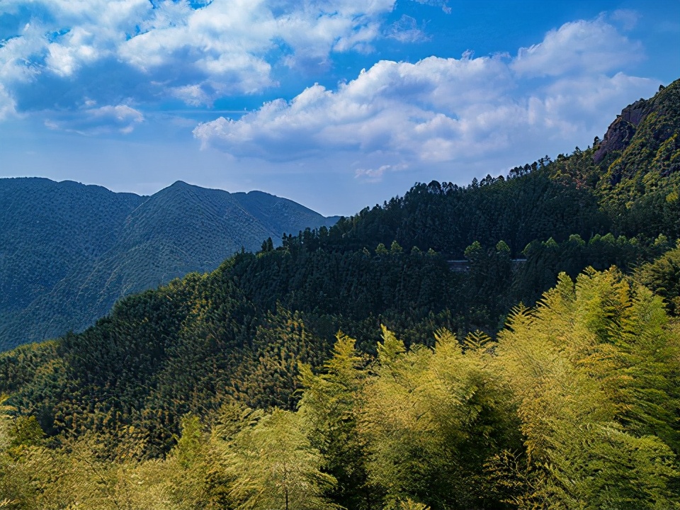 丽水旅游必去十大景点（浙江丽水旅游景点大全介绍）