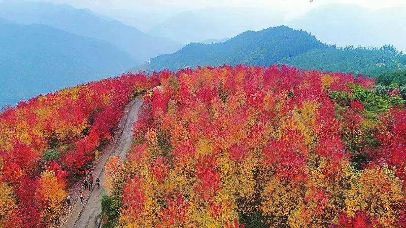 德阳旅游十大必去景点（德阳一日游哪里好玩）