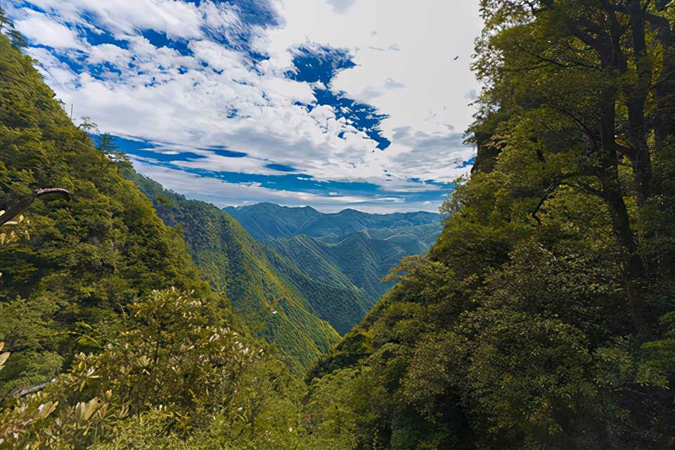 丽水旅游必去十大景点（浙江丽水旅游景点大全介绍）