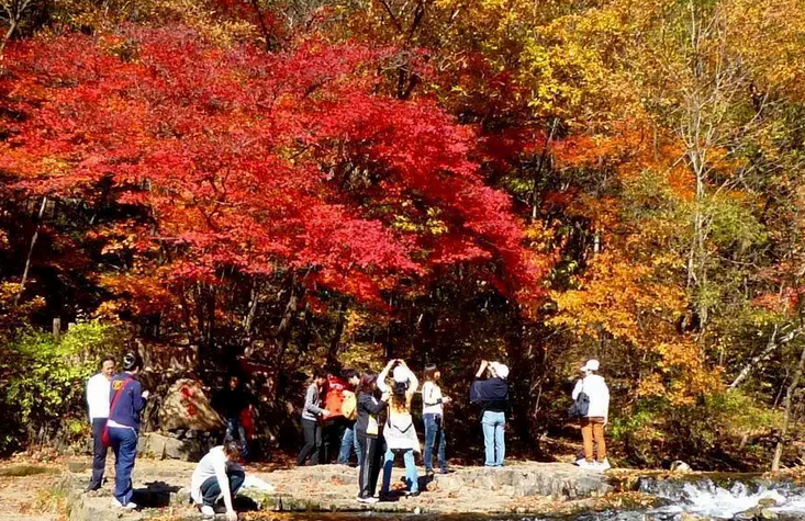 阜新关山风景区